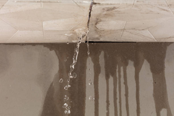 Professional Burst Pipe Cleanup technician working in Hesperia, MI